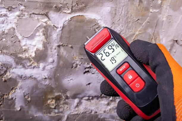Best Residential Mold Removal  in West Burlington, IA