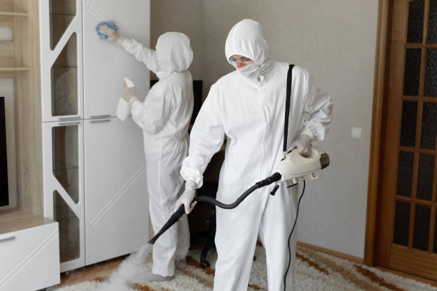 Office Mold Removal Services in West Burlington, IA