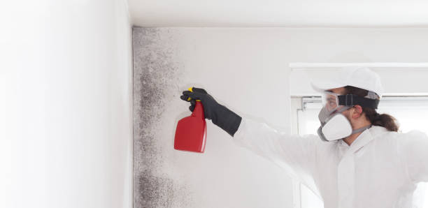 Best Water Damage Restoration  in West Burlington, IA