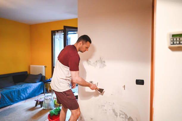 Reliable West Burlington, IA Mold Removal Solutions